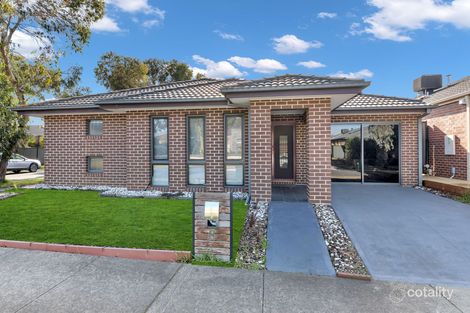 Property photo of 8 Wattletree Street Craigieburn VIC 3064