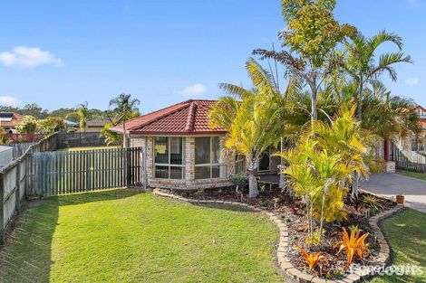 Property photo of 11 Spoonbill Way Eli Waters QLD 4655