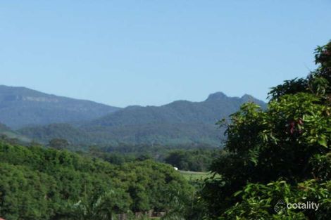Property photo of 77 Ewing Street Murwillumbah NSW 2484