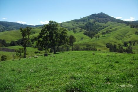 2128 Paterson River Rd, Lostock, NSW 2311