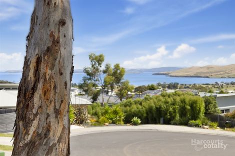 Property photo of 21 Nirranda Court Oakdowns TAS 7019