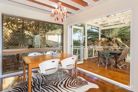Property photo of 34 Balmain Street Wooloowin QLD 4030