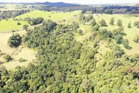 581 Theresa Creek Rd, Millaa Millaa, QLD 4886