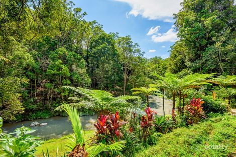 Property photo of 808 Currumbin Creek Road Currumbin Valley QLD 4223