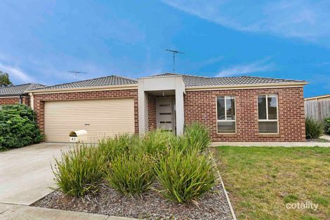 Property photo of 41 Grassland Grove Leopold VIC 3224