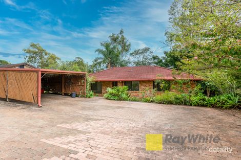 19 Tamworth Dr, Helensvale, QLD 4212