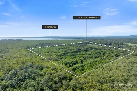 Property photo of 210 Cootharaba Downs Road Cootharaba QLD 4565