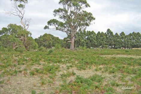 2916 South Arm Rd, South Arm, TAS 7022