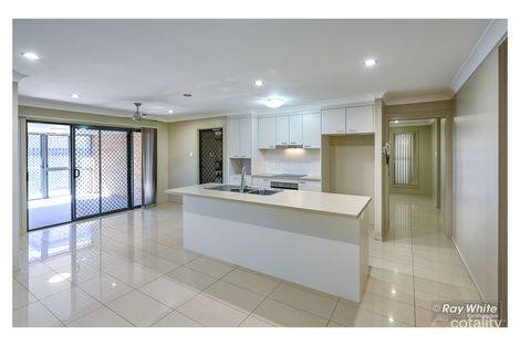 Property photo of 3 Red Penda Court Norman Gardens QLD 4701