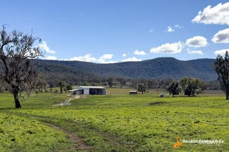 1131 Timor Mountain Rd, Maules Creek, NSW 2382