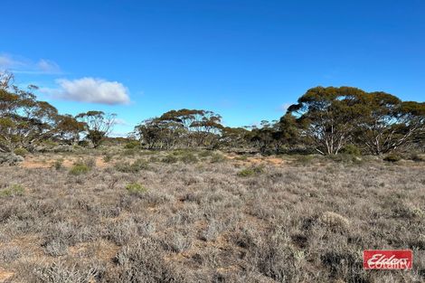 Property photo of 3000 Bower Boundary Road Bower SA 5374