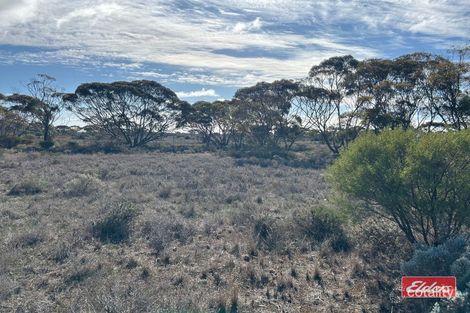 Property photo of 3000 Bower Boundary Road Bower SA 5374