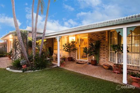 Property photo of 60 Palmwoods Crescent Runcorn QLD 4113