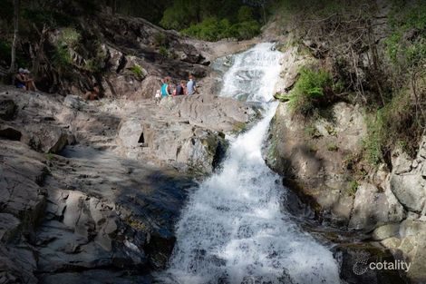 Property photo of 950 Cedar Creek Road Cedar Creek QLD 4520