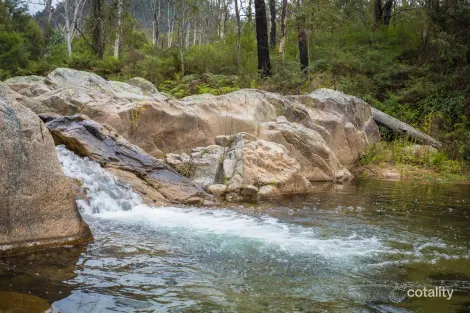 1227 Tantawangalo Mountain Rd, Tantawangalo, NSW 2550