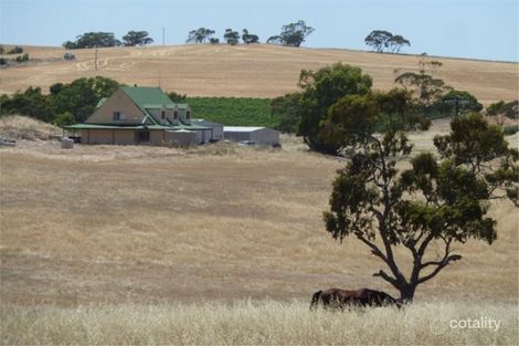 Property photo of 53 Mintern Road Auburn SA 5451