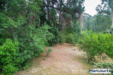 Property photo of 7 Acacia Avenue Upwey VIC 3158