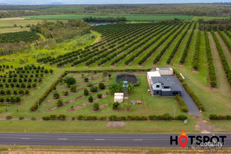 958 Ten Mile Rd, South Kolan, QLD 4670
