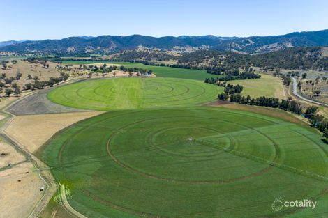 424 Back Woolomin Rd, Dungowan, NSW 2340