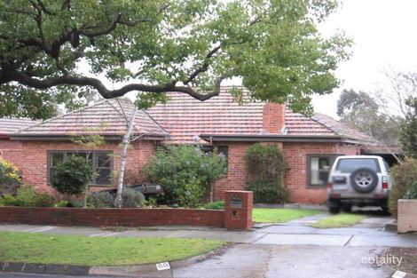 66 Celia St, Glen Iris, VIC 3146