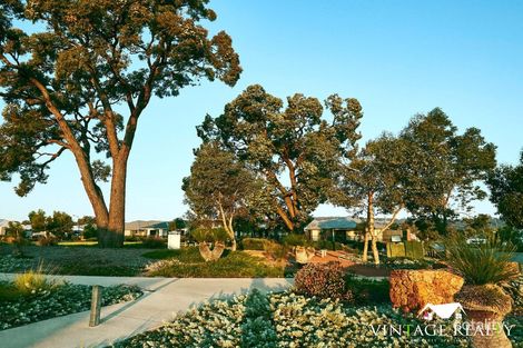 Property photo of 30 Haulback Boulevard Whitby WA 6123