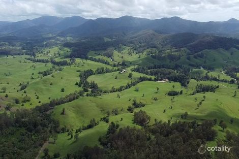 3/3253 Taylors Arm Rd, Upper Taylors Arm, NSW 2447