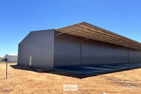 11c Modica Cres, Buronga, NSW 2739