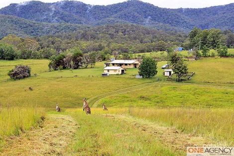 1008 Willi Willi Rd, Temagog, NSW 2440