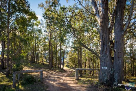 864 Warrigal Range Rd, Brogo, NSW 2550