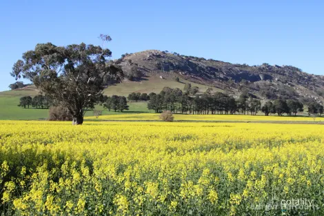 578 Beaufort-Waubra Rd, Ercildoune, VIC 3352