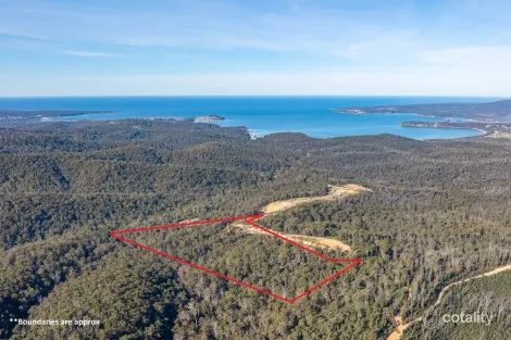 156 Silver Top Cres, Nullica, NSW 2551