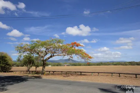 Property photo of 19 Prior Street Machans Beach QLD 4878