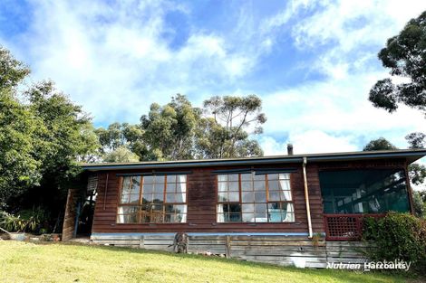 23 Mcevoy St, Casterton, VIC 3311