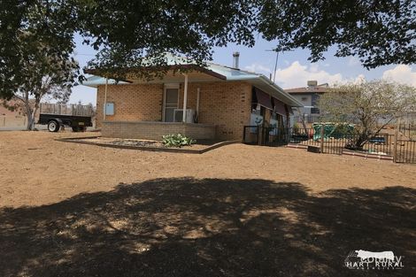 Property photo of 25 Williams Street Barraba NSW 2347