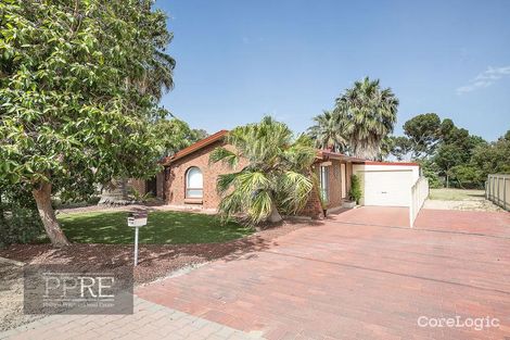 Property photo of 108 Hamilton Road Fairview Park SA 5126