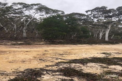 Property photo of 8201 Nerriga Road Tomboye NSW 2622