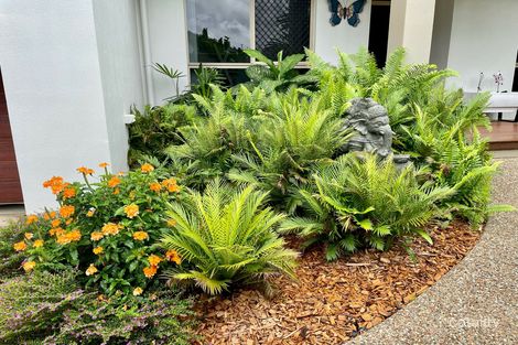 Property photo of 10 Greenvale Close Smithfield QLD 4878