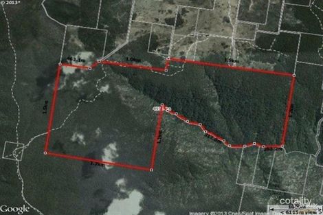 Property photo of LOT 95 Berlang Forest Road Berlang NSW 2622