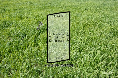 6 Stallion Ave, Doncaster, VIC 3108