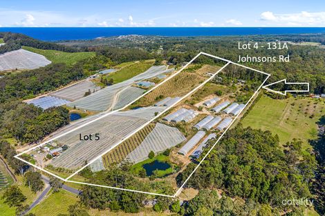 131a Johnsons Rd, Sandy Beach, NSW 2456