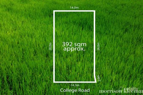 Property photo of 21 College Road Doreen VIC 3754