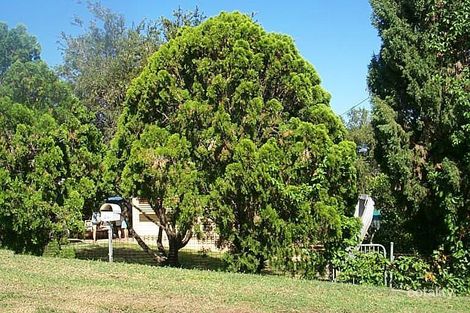 46 Adelaide St, South Gladstone, QLD 4680