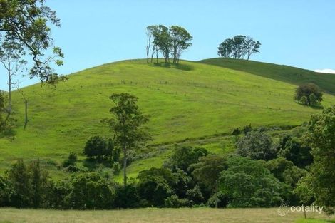 1877 Wallanbah Rd, Bucca Wauka, NSW 2429