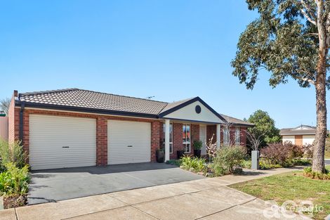 43 Doubell Bvd, Truganina, VIC 3029
