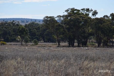 1678 Merrygoen Rd, Neilrex, NSW 2831