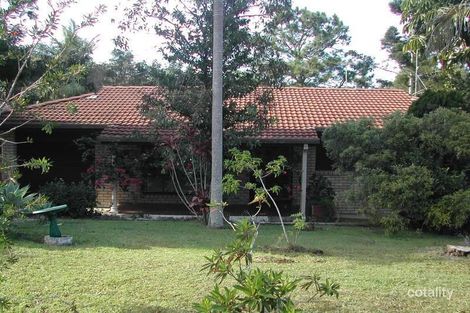 Property photo of 19 Shelley Drive Byron Bay NSW 2481