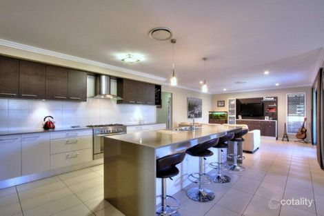 Property photo of 1 River Gum Court Loganholme QLD 4129