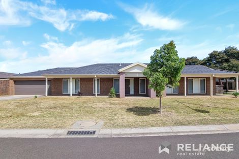 31 Juniper Ave, Point Cook, VIC 3030