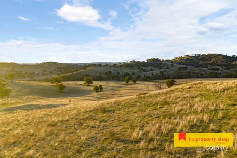 2319 Lower Piambong Rd, Piambong, NSW 2850