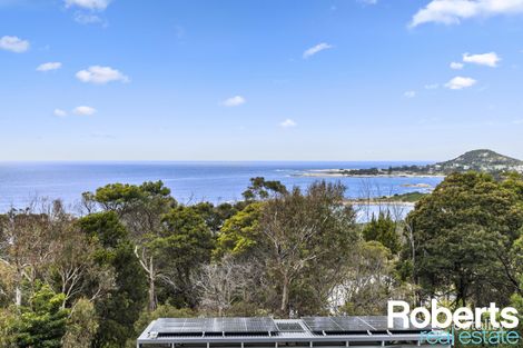 Property photo of 146 Tasman Highway Bicheno TAS 7215